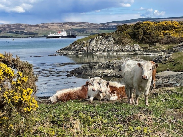 Isle of Gigha